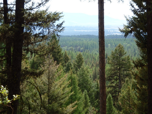 GDMBR: Another peek at the Blackfoot River Valley.